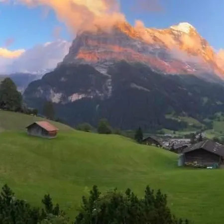 Apartmán Barbara By Interhome Grindelwald
