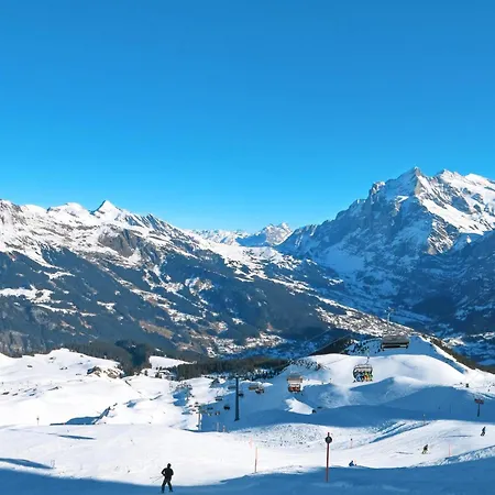 Barbara By Interhome * Grindelwald