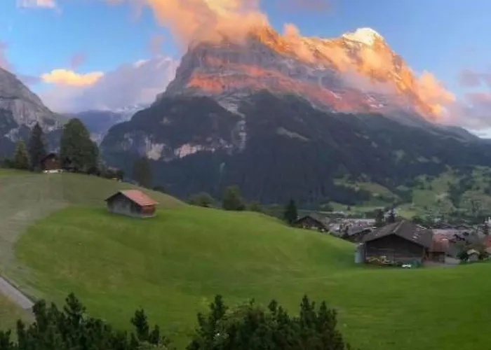 Lägenhet Barbara By Interhome Grindelwald