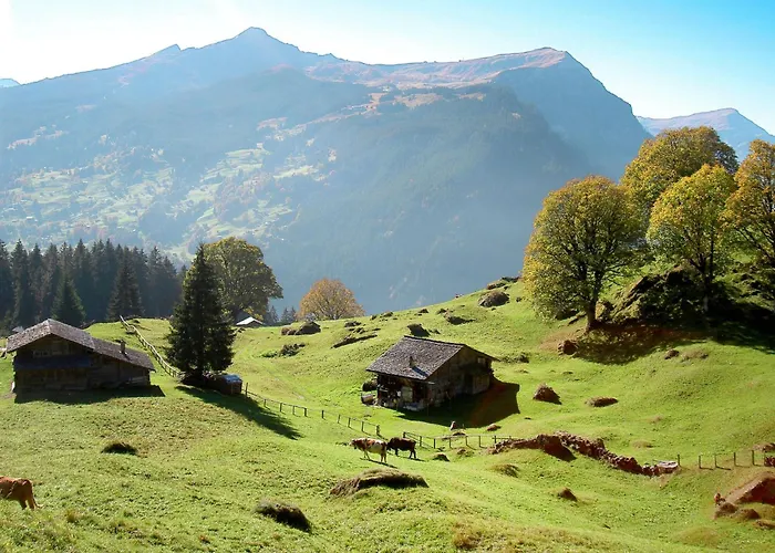 Barbara By Interhome Апартаменты